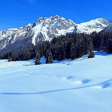 Campiglio Bilocale Monte Spinale Lägenhet Madonna Rum bild